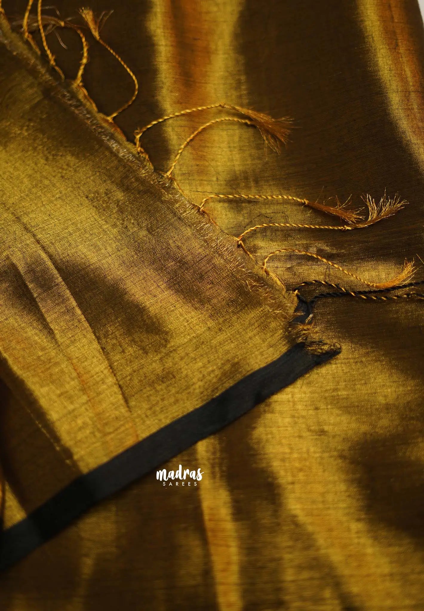 Gold Tissue  with black skirt border - Vani Bhojan saree - Madras Sarees 
