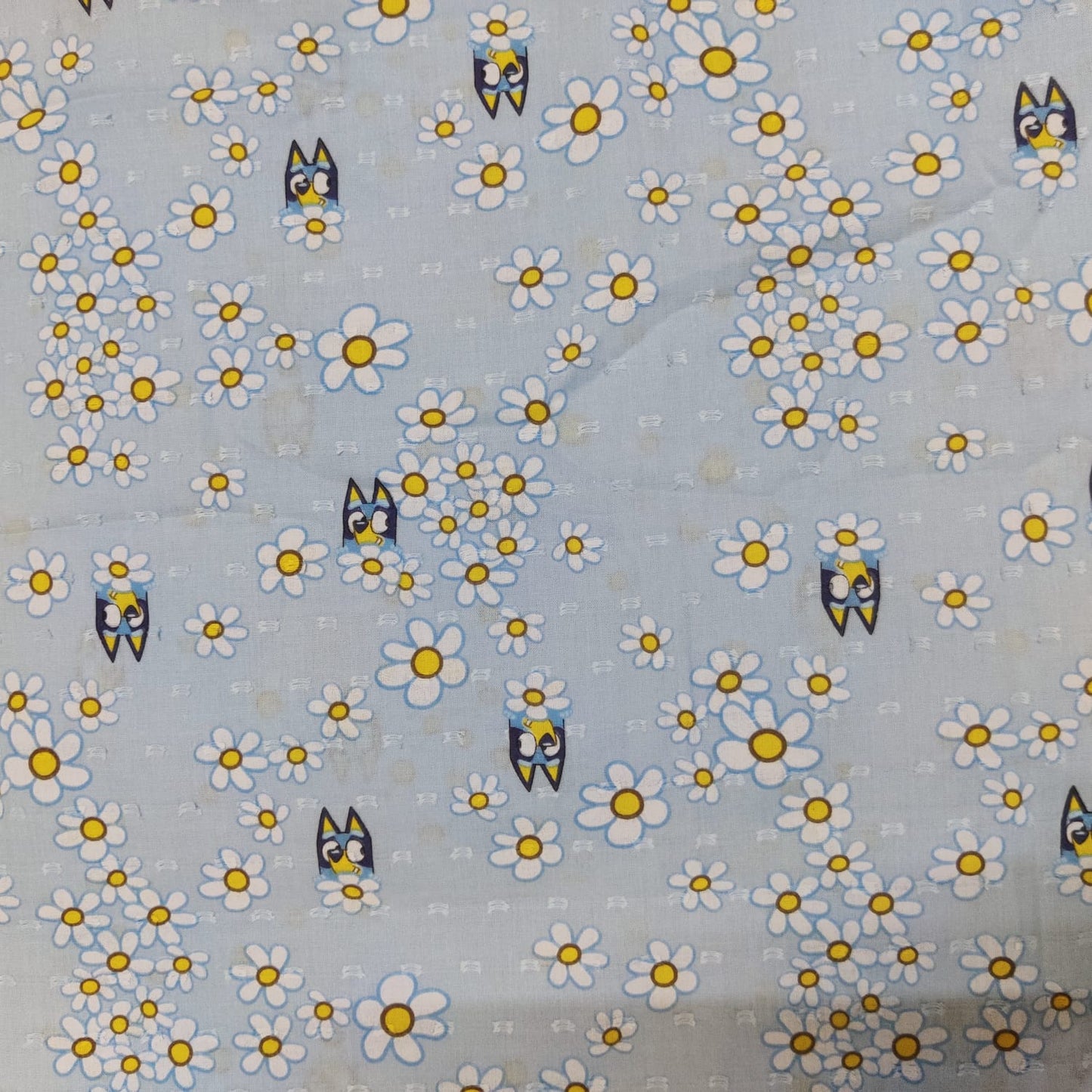 Daisy Bloom Cotton Fabric