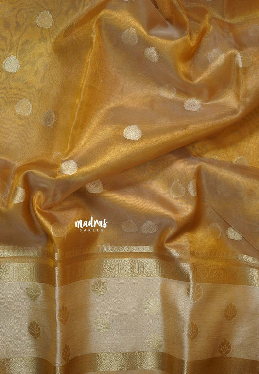 Golden glam  - Soft Organza Tissue Silk Blend Saree