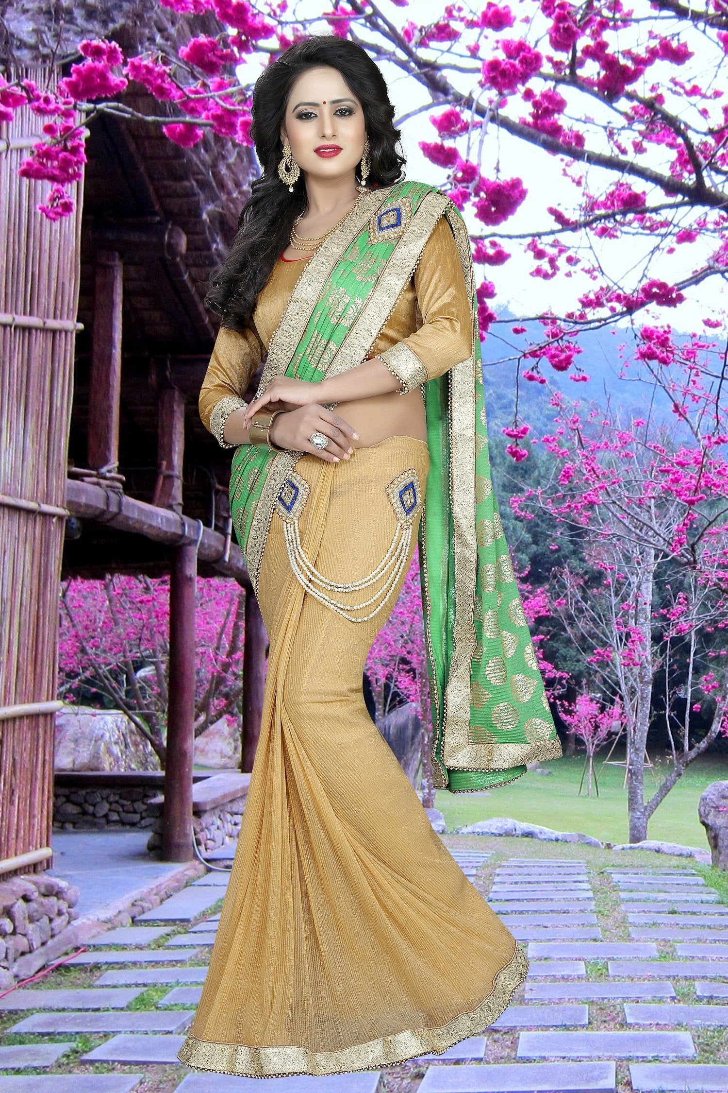 Green and Beige colour Embroidery Patch Work Saree-SRP-GS-08